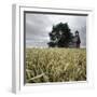 A Dilapidated Building in a Field-null-Framed Photographic Print