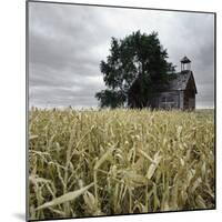 A Dilapidated Building in a Field-null-Mounted Photographic Print