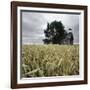 A Dilapidated Building in a Field-null-Framed Photographic Print