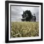 A Dilapidated Building in a Field-null-Framed Photographic Print