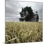 A Dilapidated Building in a Field-null-Mounted Photographic Print