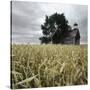 Stretched Canvas