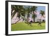 A Dilophosaurus Chasing Two Gigantoraptors across a Grassy Field-null-Framed Art Print