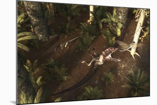 A Dimorphodon Pterosaur Chasing an Insect-Stocktrek Images-Mounted Art Print