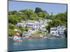 A Dinghy Sails Past the Village of Boddinick Near Fowey, Cornwall, England, United Kingdom, Europe-David Clapp-Mounted Photographic Print