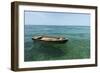 A Dingy Floats by Itself on Open Green Waters Near the Southern Coast of Cuba-James White-Framed Photographic Print