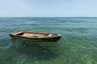 https://imgc.allpostersimages.com/img/posters/a-dingy-floats-by-itself-on-open-green-waters-near-the-southern-coast-of-cuba_u-L-Q13AII80.jpg?artPerspective=n