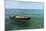 A Dingy Floats by Itself on Open Green Waters Near the Southern Coast of Cuba-James White-Mounted Photographic Print