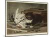 A Disagreement Upon a Point of Art-Henriette Ronner-Knip-Mounted Giclee Print