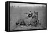 A Dismounted Lancer at a Skirmishing Display, 1896-Gregory & Co-Framed Stretched Canvas