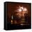 A Display of Fireworks Illuminates the Sky Near the Statue of Liberty-null-Framed Stretched Canvas