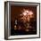 A Display of Fireworks Illuminates the Sky Near the Statue of Liberty-null-Framed Photographic Print