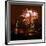 A Display of Fireworks Illuminates the Sky Near the Statue of Liberty-null-Framed Photographic Print