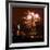 A Display of Fireworks Illuminates the Sky Near the Statue of Liberty-null-Framed Photographic Print