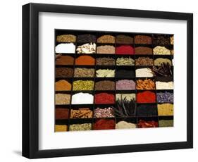 A Display of Spices Lends Color to a Section of Fancy Food Show, July 11, 2006, in New York City-Seth Wenig-Framed Photographic Print