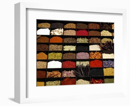 A Display of Spices Lends Color to a Section of Fancy Food Show, July 11, 2006, in New York City-Seth Wenig-Framed Photographic Print