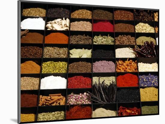 A Display of Spices Lends Color to a Section of Fancy Food Show, July 11, 2006, in New York City-Seth Wenig-Mounted Photographic Print