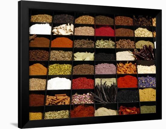 A Display of Spices Lends Color to a Section of Fancy Food Show, July 11, 2006, in New York City-Seth Wenig-Framed Photographic Print