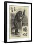 A Distinguished Ancestor-null-Framed Premium Giclee Print