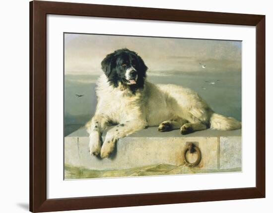 A Distinguished Member Of The Humane Society-Edwin Landseer-Framed Premium Giclee Print