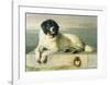 A Distinguished Member Of The Humane Society-Edwin Landseer-Framed Premium Giclee Print