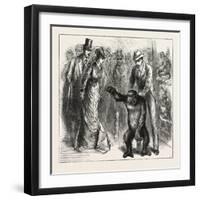 A Distinguished Visitor at Liverpool, the Young Gorilla Holding a Reception in the Museum, 1876, Uk-null-Framed Giclee Print