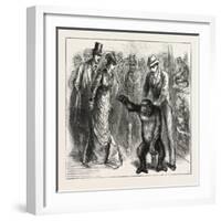 A Distinguished Visitor at Liverpool, the Young Gorilla Holding a Reception in the Museum, 1876, Uk-null-Framed Giclee Print