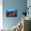 A Diver Approaches Colorful Soft Corals and Crinoids on the Reefs of Raja Ampat-null-Photographic Print displayed on a wall