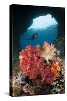 A Diver Approaches Soft Corals, Raja Ampat, West Papua, Indonesia-null-Stretched Canvas