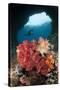 A Diver Approaches Soft Corals, Raja Ampat, West Papua, Indonesia-null-Stretched Canvas