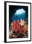 A Diver Approaches Soft Corals, Raja Ampat, West Papua, Indonesia-null-Framed Photographic Print