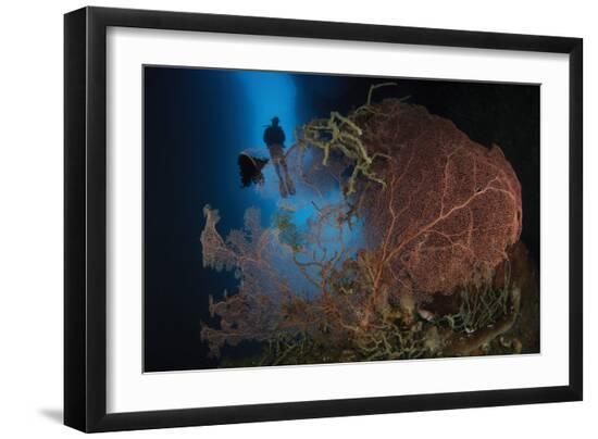Photographic Print, , large