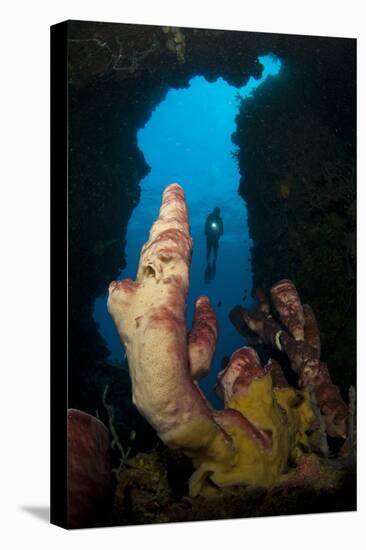 A Diver Looks into a Cavern at a Sponge, Gorontalo, Sulawesi, Indonesia-null-Stretched Canvas