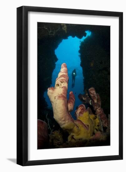 A Diver Looks into a Cavern at a Sponge, Gorontalo, Sulawesi, Indonesia-null-Framed Photographic Print