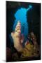 A Diver Looks into a Cavern at a Sponge, Gorontalo, Sulawesi, Indonesia-null-Mounted Photographic Print