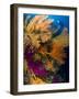 A Diver Looks On at a Colorful Reef with Sea Fans, Solomon Islands-Stocktrek Images-Framed Photographic Print