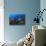 A Diver Looks on at a Lionfish Hovering Above Staghorn Coral, Indonesia-null-Photographic Print displayed on a wall