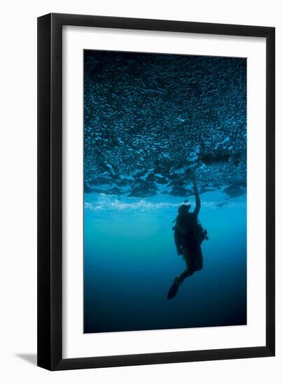 A Diver Reaches Up to Touch the Ceiling of an Undercut, Caused by Wave Erosion-null-Framed Photographic Print