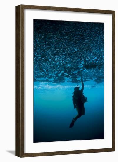 A Diver Reaches Up to Touch the Ceiling of an Undercut, Caused by Wave Erosion-null-Framed Photographic Print