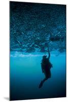 A Diver Reaches Up to Touch the Ceiling of an Undercut, Caused by Wave Erosion-null-Mounted Photographic Print