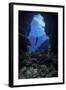 A diver stops at the entrance to an underwater cave in Grand Cayman, Cayman Islands-Stocktrek Images-Framed Photographic Print