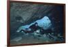 A Diver Using a Diver Propulsion Vehicle in the Blue Springs Cave System-null-Framed Art Print