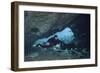 A Diver Using a Diver Propulsion Vehicle in the Blue Springs Cave System-null-Framed Premium Giclee Print