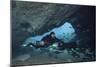 A Diver Using a Diver Propulsion Vehicle in the Blue Springs Cave System-null-Mounted Premium Giclee Print