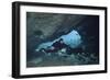 A Diver Using a Diver Propulsion Vehicle in the Blue Springs Cave System-null-Framed Art Print