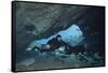 A Diver Using a Diver Propulsion Vehicle in the Blue Springs Cave System-null-Framed Stretched Canvas