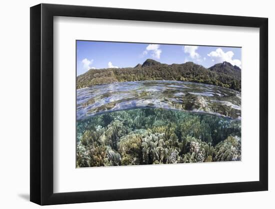 A Diverse Array of Corals Grow in Raja Ampat, Indonesia-Stocktrek Images-Framed Photographic Print