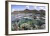 A Diverse Array of Corals Grow in Raja Ampat, Indonesia-Stocktrek Images-Framed Photographic Print