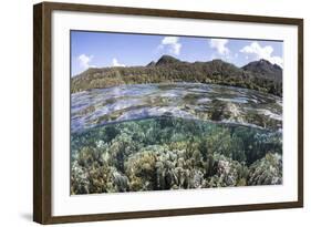 A Diverse Array of Corals Grow in Raja Ampat, Indonesia-Stocktrek Images-Framed Photographic Print