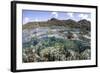 A Diverse Array of Corals Grow in Raja Ampat, Indonesia-Stocktrek Images-Framed Photographic Print